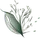 Synergy Rheumatology & Wellness logo